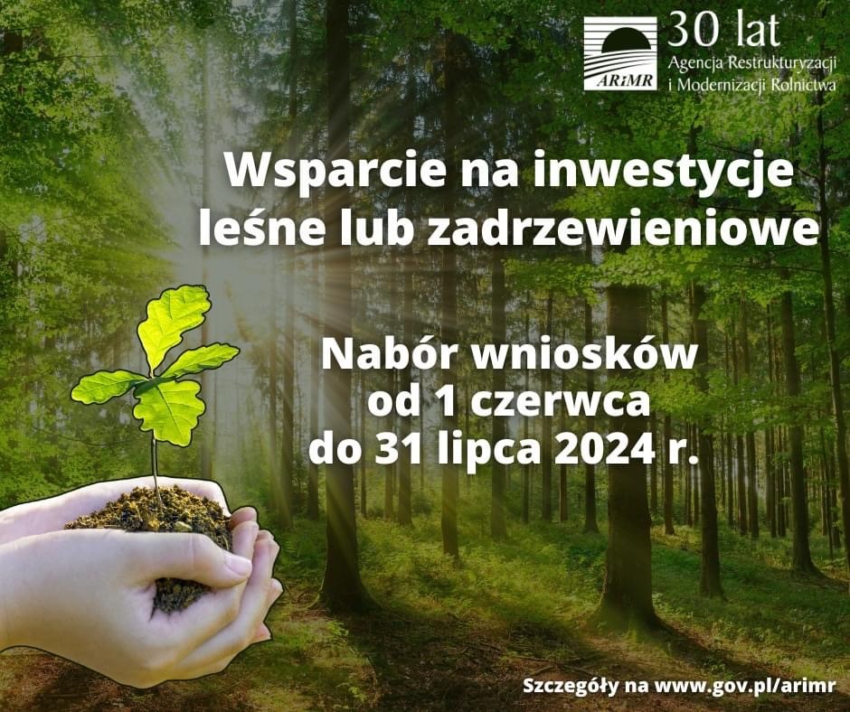 Pieniądze na inwestycje leśne lub zadrzewienia